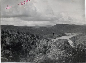 Forest between Toamasina and Antananarivo, in Madagascar