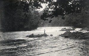 Affluent of the Ogooue river, in Gabon