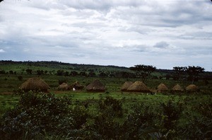 Village at the savannah, Cameroon, 1953-1968