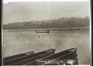 Lake Richard with Koto island. (Barombi near Kota)