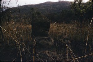 Termite mound, Cameroon, 1953-1968