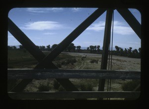 fencing, trees and landscape in the background