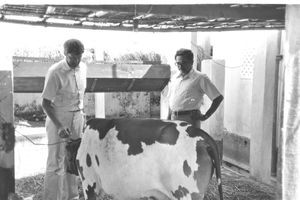 Danish Bangladesh Leprosy Mission/DBLM. Farming at Nilphamari Hospital, 1981. Missionary Jens K