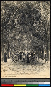 Children standing in a tree-lined lane, Congo, ca.1920-1940