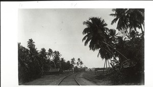 Railway linking the sea shore and the station for goods traffic