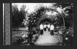 Garden at Ginling College, Nanjing, Jiangsu, China, 1919