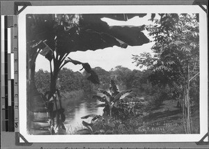 River Kiwira near mission station Ipyana, Tanzania