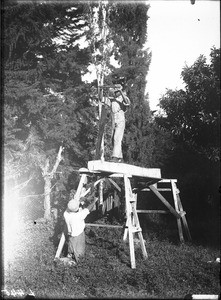 Pit sawyers, Lemana, Limpopo, South Africa, ca. 1906