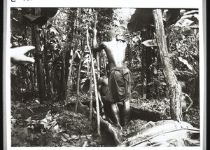 Native tread-mill for making palm oil