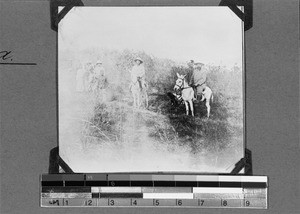 Missionaries Hennig, Zickmantel and Jansa on mules, Nyasa, Tanzania, ca. 1905/1906