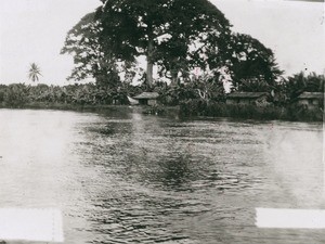 A village on the river bank, in Cameroon