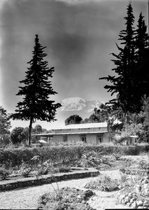 House and garden in front of Kibo summit, Tanzania, ca.1893-1920