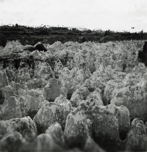 A lunar landscape after the phosphate extraction, atoll of Makatea