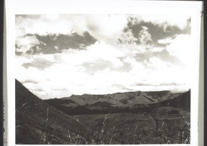 Graslandschaft b. Babanki (Bekom)