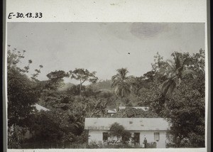 Lehrerhaus in Viktoria (Kamerun). Seidenwollbäume; Kokospalme; Oelpalme; Mangobäume