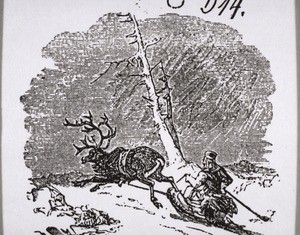 Greenland man with a reindeer sledge