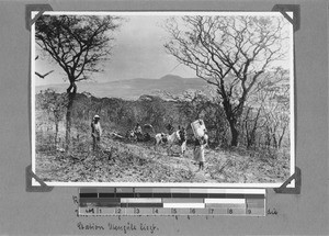 Missionary Hennig on a trip to Untengule, Igali, Tanzania, 1905