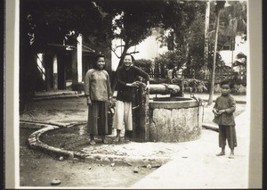 Brunnen i. Hof i. Honyen mit Rosmarins