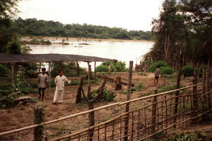 Agricultural nursery in Ratanakiri in the early stages