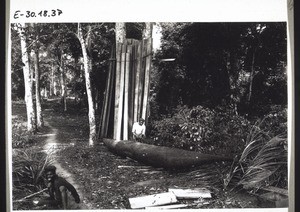 Canoe builder in Bombe, working (hollowing out the tree trunk). In the background are sawn boards for the construction of the mission house