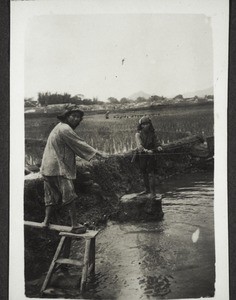 Scooping up water