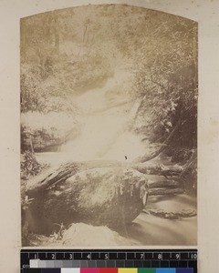 View of waterfall in forest, Madagascar, ca. 1865-1885