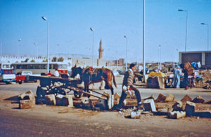 Diakoni i Cario 1992. I udkanten af Cairo ligger de såkaldte skraldebyer. Nedenfor Muqattam-bjergene - som ses i horisonten - ligger en skraldeby med ca. 12.000 indbyggere, der bogstaveligt talt bor oven på byens losseplads