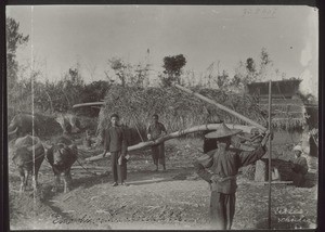 A chinese sugar mill