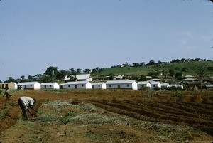 Housing and fields of the seminary students, Meiganga, Adamaoua, Cameroon, 1953-1968