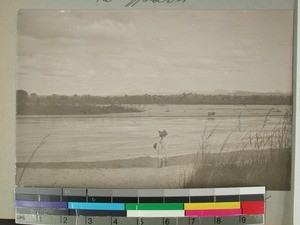 Sakeny valley river bank, Madagascar, ca.1908