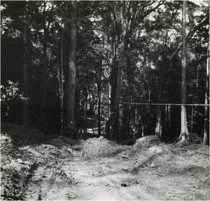 Road of Razel, in Cameroon