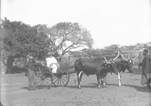 Henri Alexandre Junod and his wife in Ricatla, Mozambique, ca. 1896-1911