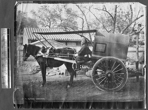 Mule drawn cart, Beijing, China, ca.1870-1880