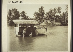 Mission ox-cart going through the waters of the River Udiwara near Udapi. A shop