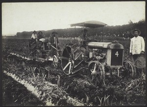 Cultivando en Col 3, tractores 'Fordson' - Caña 1920 -