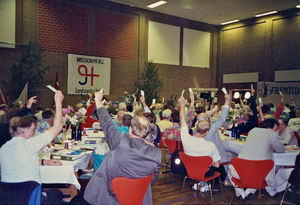 Landsmødet 1994 i Haslev. Der stemmes