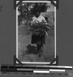 Nora Malashe with firewood, Tabase, South Africa East, 1932