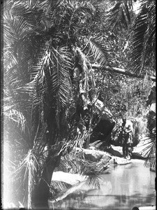 African hunter, Lemana, Limpopo, South Africa, ca. 1906-1907