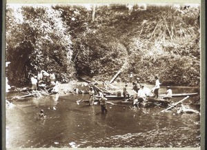 Waschen des Reises zum Kochen in den Bambusstäben