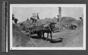 Unloading sand,Yenching University, Beijing, China, 1923