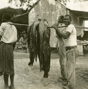 Fishermen, in Gabon