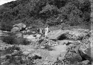 Kikafu bridge in the dry season, Tanzania, ca.1893-1920