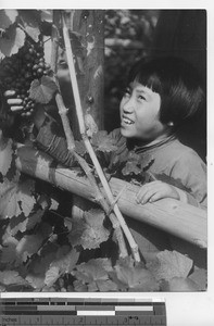 An orphan girl with grapes at Fushun, China, 1937