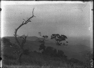 Landscape near Lemana, Limpopo, South Africa, ca. 1906-1907