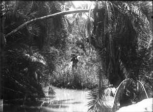 African hunter, Lemana, Limpopo, South Africa, ca. 1906-1907