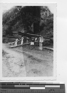 Chinese workers carry tree trunks at Soule, China, 1935