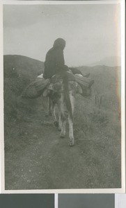 A Spanish Woman Rides her Donkey Home from Church, Malaga, Spain, 1966