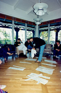 DMS perspective conference at Smidstrup Strand, June 1994