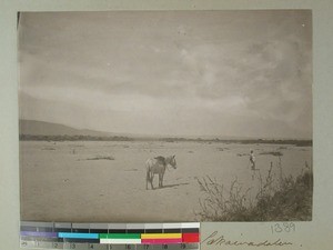 Sakeny valley, Madagascar, ca.1908