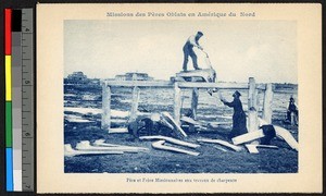 Two missionary fathers working a whipsaw outdoors, Canada, ca.1920-1940